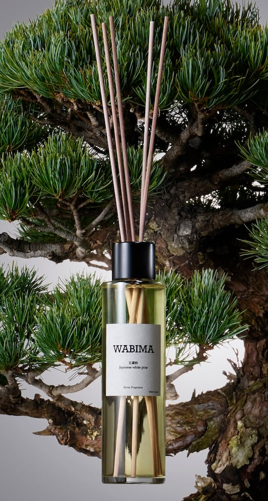 五葉松　Japanese White Pine 五葉松 Japanese white pine 150ml – WABIMA